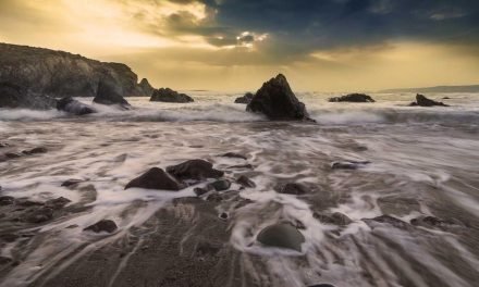 Eligendi illum laboriosam eum natus rerum