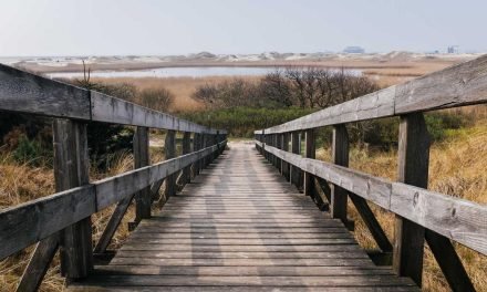 Reiciendis sunt voluptas et aliquam omnis et