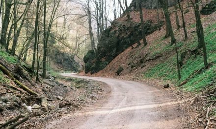 Harum libero accusantium sint